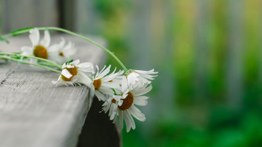 Funeral to be held for boy with autism found in creek after dayslong search