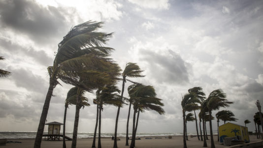 Hurricane Michael makes landfall, worst storm Florida Panhandle has seen in over a century