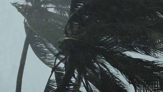 Hurricane Michael live updates: ‘We haven’t seen anything like this’ in decades, Florida gov. warns