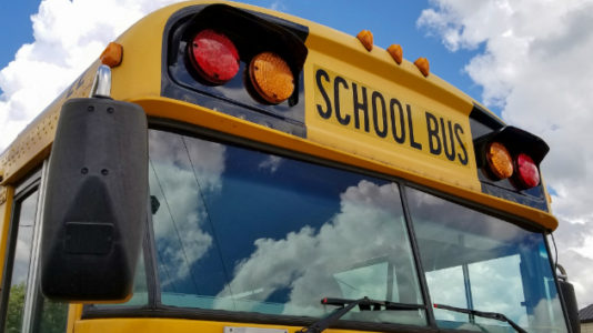 Girl fighting for life after being hit by truck in MD while getting off school bus