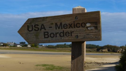 US Border Patrol cancels ‘crowd control’ training exercise near Texas polling station