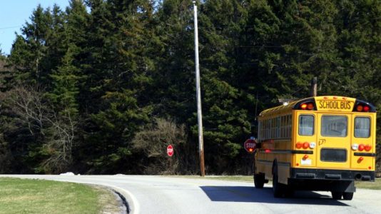 7-year-old boy hit by car and killed at school bus stop in Pennsylvania: Official