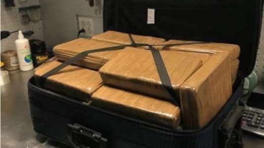 Authorities seize $1.3M in cocaine from suitcase at NY airport
