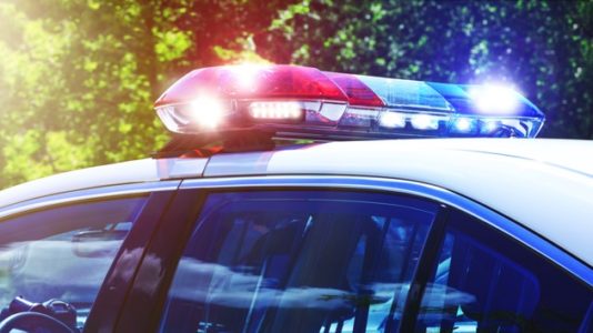 Girl’s use of family ‘code word’ to thwart potential kidnapping draws praise from police