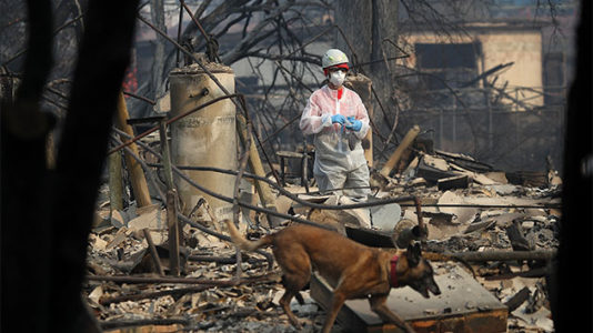 Devastating California wildfires leave 74 dead, more than 1,000 others unaccounted for
