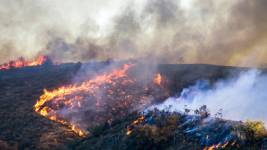 Relentless California wildfires leave 82 dead, almost 700 unaccounted for