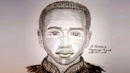 Dallas police searching for armed serial rapist targeting apartment complexes