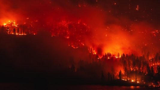 Fatal infernos: 31 dead, 228 missing, 7,000 structures destroyed as California blazes grow