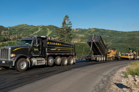 Company to alter plan to leave historic petroglyphs in place
