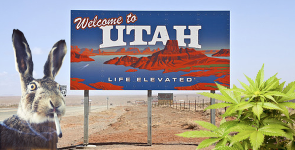 Mitt Romney, Mia Love and marijuana headline Utah election