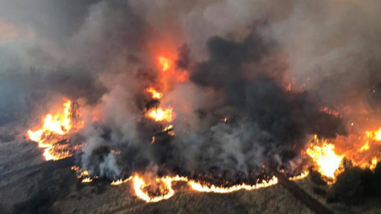 ‘It’s going to get worse’: Officials fear many more deaths from California wildfires that have already claimed 59 lives