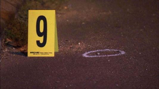 14-year-old girl, 5-year-old brother shot by unknown gunmen while trick-or-treating: Police