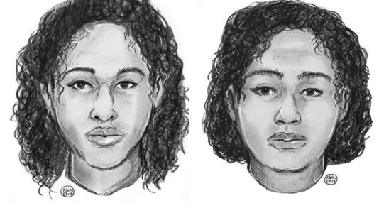 Sisters found dead in Hudson River preferred suicide over returning to Saudi Arabia: Police