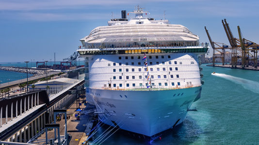 Search on for 20-year-old cruise ship crewman who went overboard near Puerto Rico