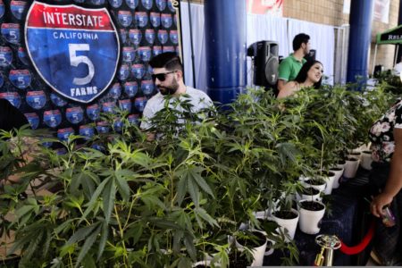 Legal marijuana industry had banner year in 2018