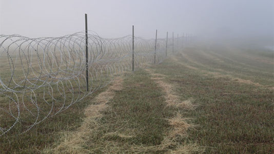 More than 260 migrants died trying to cross the US southern border: Report