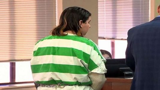 Teen turned in by grandmother pleads guilty to planning school shooting