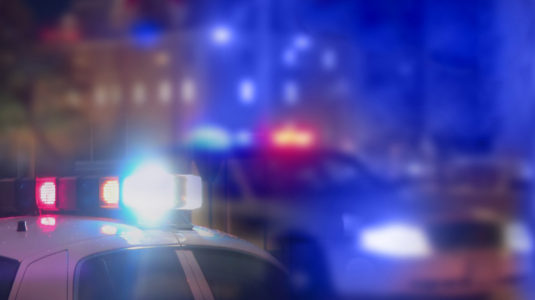 Mother of first dead man found in Democratic donor’s house points to his alleged journal for clues