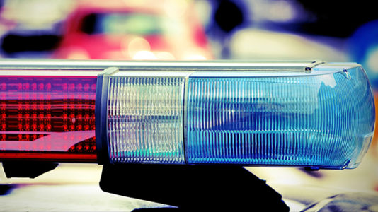 Chicago police rescue man who jumped in icy Lake Michigan to save his puppy