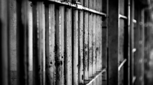 Lawmakers ask governor to pardon Tennessee woman sentenced to life