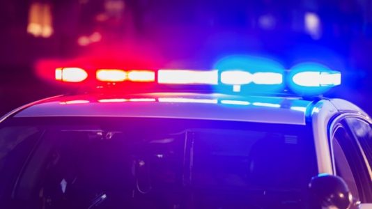 St. Louis police officer kills another officer in accidental shooting: Authorities