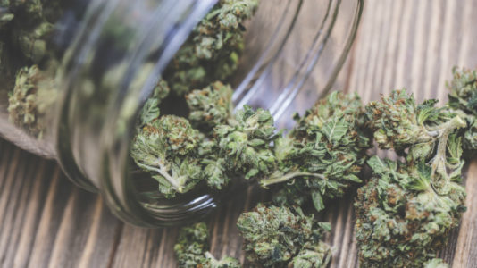 Amid national shift, Baltimore to stop prosecuting marijuana cases