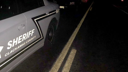 Man ‘used an ax hammer on his mother’: 911 call in brutal quadruple murder in Oregon