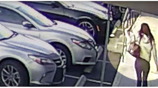 Desperate search for driver who allegedly struck and killed manicurist enters 2nd week