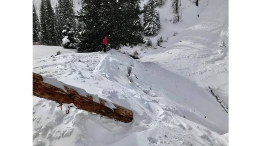 Search underway for skier missing after avalanche reported