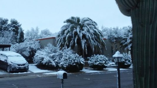 Snow on saguaros: Desert cities in US Southwest see freeze