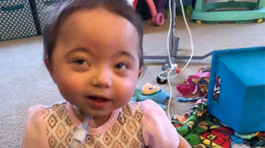 Family of federal worker struggling because of the government shutdown begs Trump to meet with them