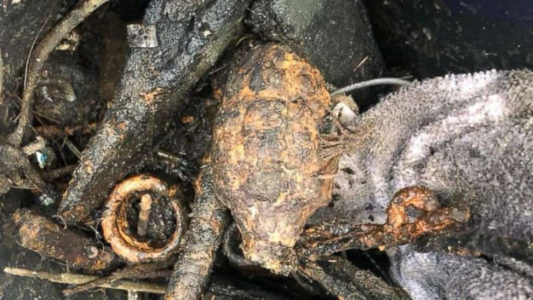 Fisherman’s catch of the day prompts evacuation of a Taco Bell in Ocala, Florida