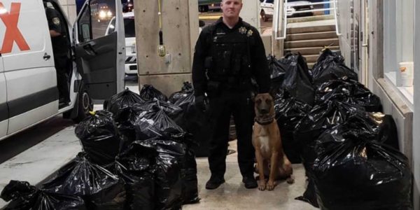 Stop of fake delivery van nets marijuana seizure, arrest