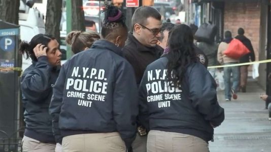 Pregnant woman fatally stabbed in New York City apartment building