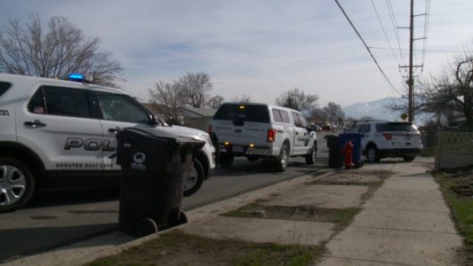 Utah teenager killed while playing with shotgun