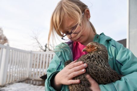 Landlords grapple with rise in emotional support animals