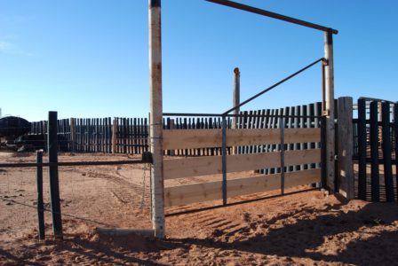 Man accused of attempt to kill cattle accepts plea deal