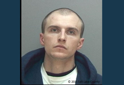 Parole violator convicted of killing police dog during chase