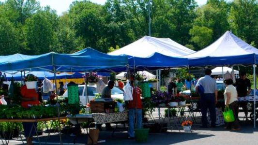 Midway Farmers Market Commences Saturday