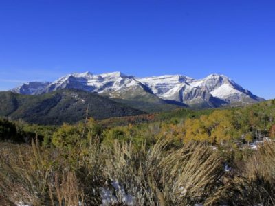 Millions of TRT Dollars Discussed at County Meeting