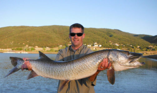 Thousands of tiger muskies swim into new reservoir home