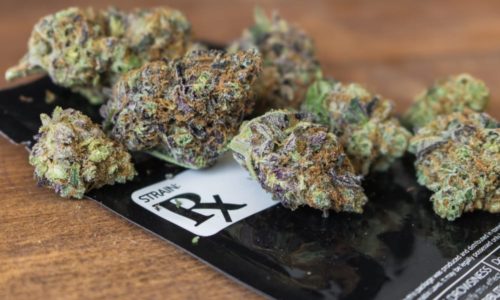 Utah proposes medical marijuana grower fees upward of $100k