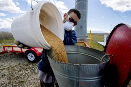 Utah gears up for more mosquitoes than usual this summer
