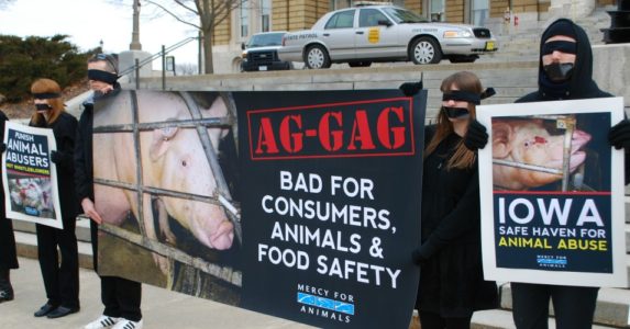 Lawsuit calls Arkansas “ag-gag” law unconstitutional