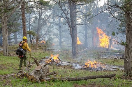Grand Canyon crews finish 2.7-square-mile prescription fire