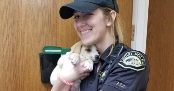 Police rescue man and puppy trapped in garbage truck
