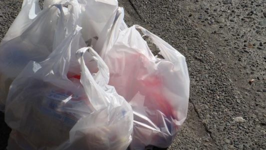 Brigham Young University student pushes for plastic bag fee