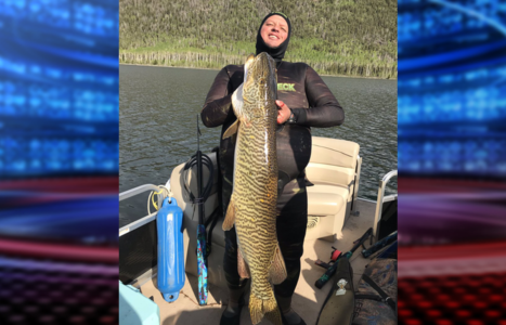 Utah man breaks state spearfishing record