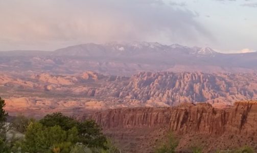 Mosquitoes with West Nile virus found in Moab