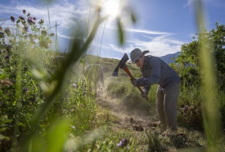 Groups work to improve trails in northern Utah
